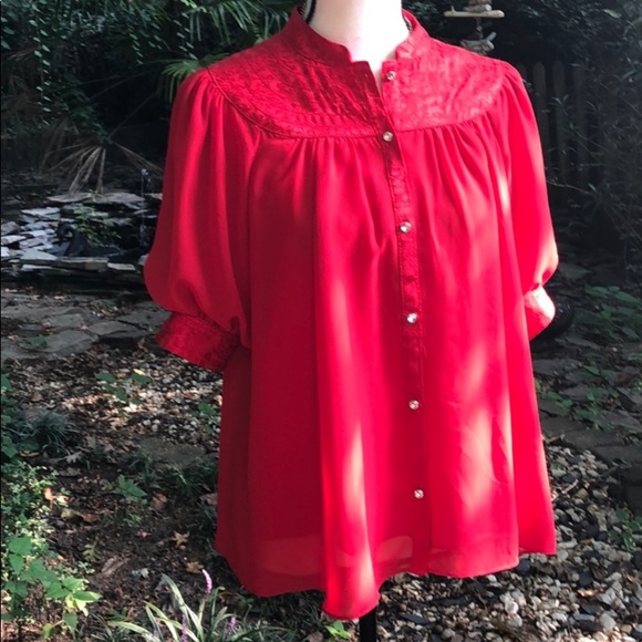 Anthro's Moulinette Soeurs red blouse - Picture 4 of 6